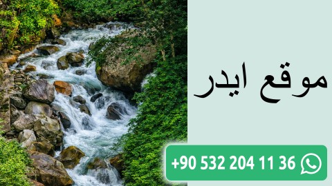 موقع ايدر